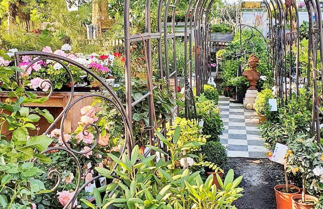 6 Person Holiday Home in Loderup-by Traum - Foto 18