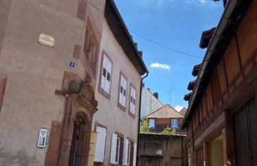 Logement de charme dans un monument historique daté de 1544, au centre de Haguenau - Photo 2