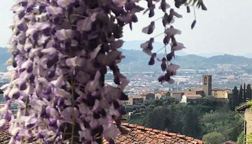 Residenza Buggiano Antica B&B - Charme Apartment in Tuscany - Foto 2, Garden view