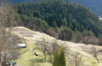 AGRITURISMO BORGO DAMOS - Foto 16