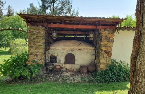 Quinta Flores - Foto 22