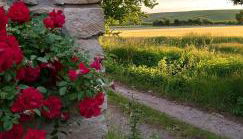 Ferienwohnung Am Backhausgarten - Photo 2