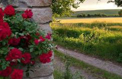 Ferienwohnung Am Backhausgarten - Foto 2
