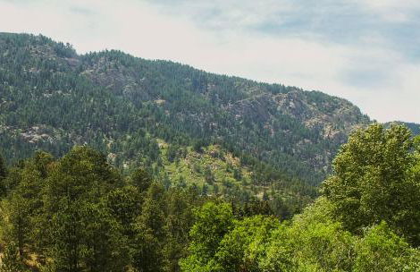 7 Bedroom on the Side of Pikes Peak on a Mountain Stream - Foto 58
