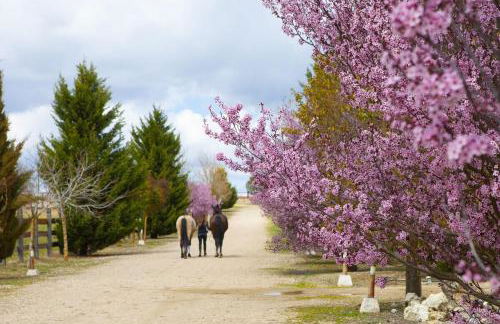 Las Viñas Pinilla - Foto 6