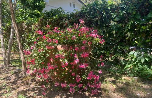 Villa Amedea - Foto 52