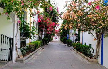 Apartamento La Marisma Playa de Mogán - Foto 44