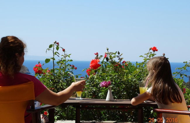 Ktima Nikola - Photo 40