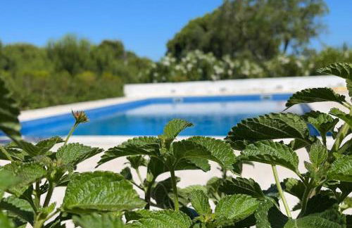 Country House in Coruche - Foto 6