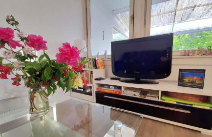 Mitten im Seenland und Spreewaldnah, schöner Garten - Foto 9