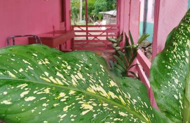 Raíz Marajoara - Photo 15