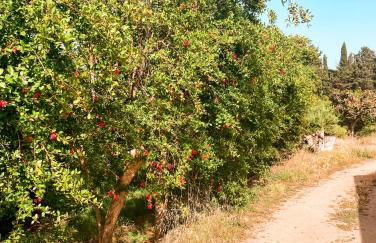 Luna&Limoni Country - Foto 41