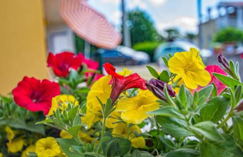 Appartment Happy Time - Foto 22