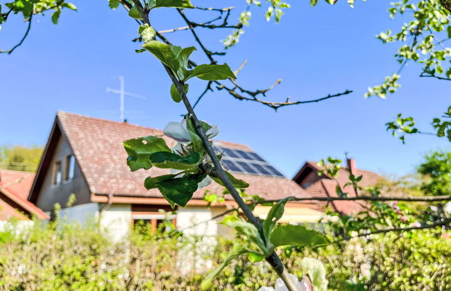 Land in Sicht - Foto 32