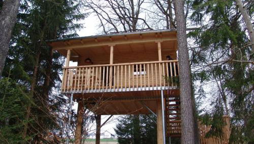 Baumhaus Hotel Voglsam - Foto 3