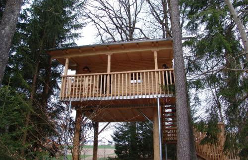 Baumhaus Hotel Voglsam - Foto 3