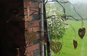 The Willow (Alton Towers, Animals, Peak District) - Foto 25