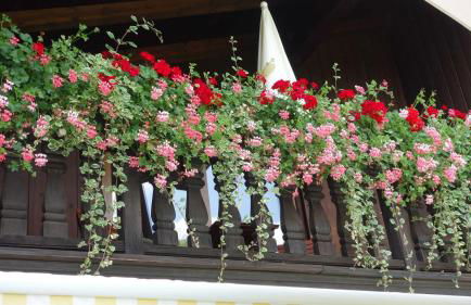 Ferienwohnung Haulle, Kreuth-Scharling am Tegernsee - Foto 60