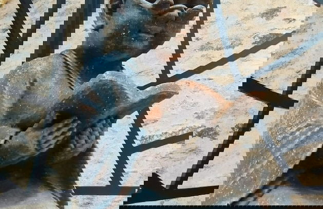 Maison avec hammam privé en option - Maison Mandala - Foto 19