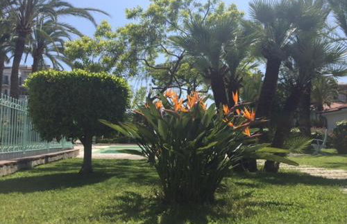 Enrico's Home - Photo 8