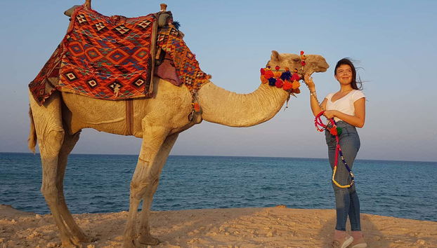 Camel ride