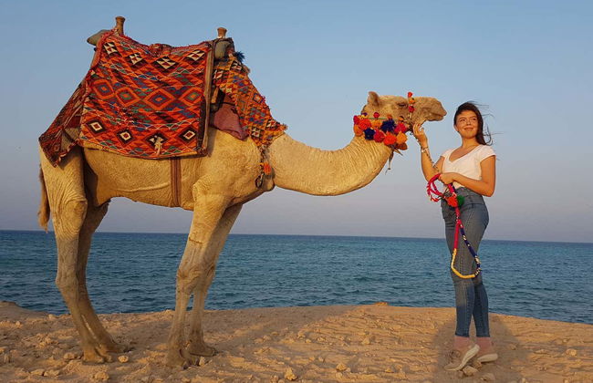 Desert Camel Ride in Marsa Alam - Photo 2