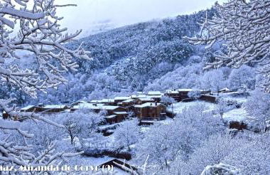 Serpins Estação Al - Foto 10