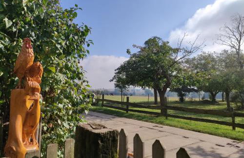 Familienferienhof Sell´s Scheune - Foto 9