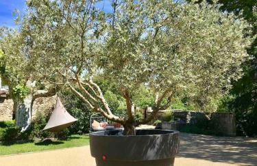 Cabane Perchée avec Jacuzzi, au Coeur du Luberon - Foto 16