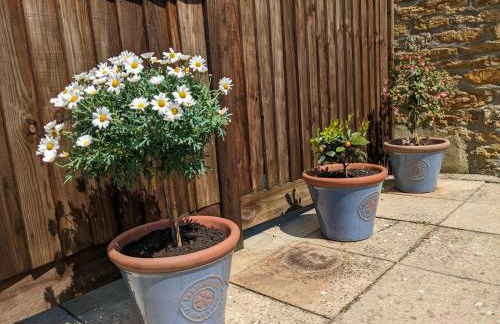 Barton Cottage - Photo 20