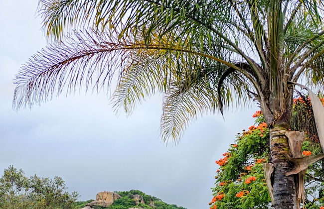 Near2Numbi - Foto 61