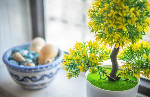 JB - Monte João Moleiro With Shared Pull - Photo 59