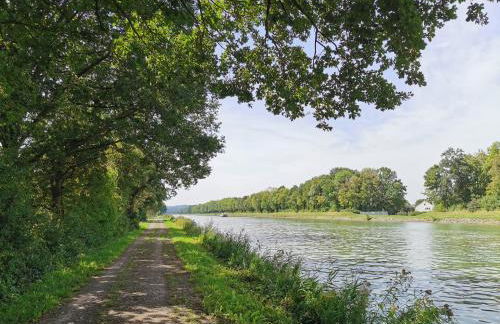Ferienwohnung Waldblick - Foto 11