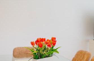 Best Villas - Park Ofir - Foto 101