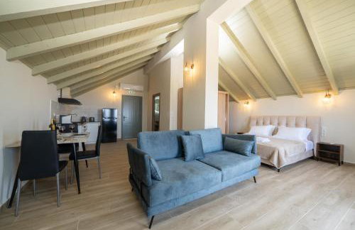 THISEFS luxury apartments Kefalonia - Foto 34