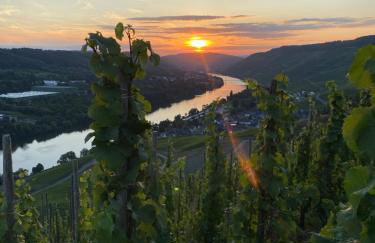 Apartment an der Mosel 1 - Foto 28