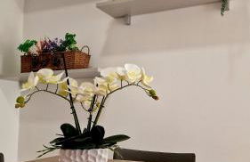 Puteoli Sea View - Foto 21