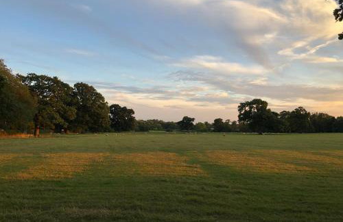 Stylish two bedroom apartment near Rookery Hall - Foto 19