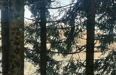 home edwige - Foto 18