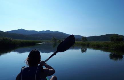 Apartments Tomas - Foto 17