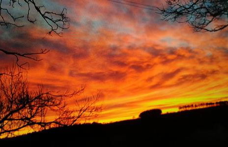 Hamsteels Hall Cottages - Foto 75