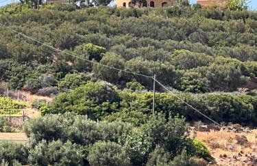 Bella Vista - Photo 2
