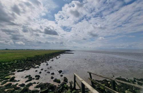 Nordseeglück - modern und ruhig mit Sauna - Foto 30