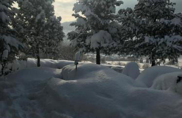 Zielony Dom - Foto 33