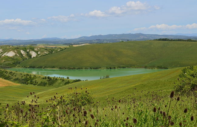 Cottage With Private Swimming Pool - Photo 19