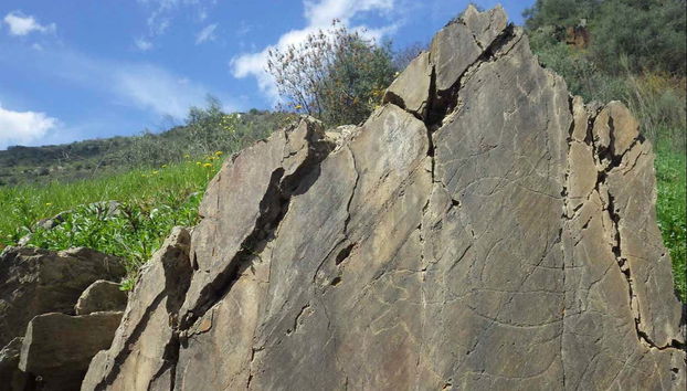 Cave Painting Hike in the Côa Valley - Foto 5