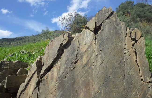 Cave Painting Hike in the Côa Valley - Foto 5