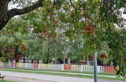 Laura Exclusive, dizajnerski uređen stan, izvrsno opremljen, self check-in - Foto 52