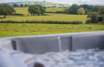 The Laundry Room Romantic cabin, hot tub & views - Photo 19