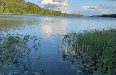 Borowe Apartamenty - Photo 70